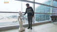 Koumákova reportáž: Robot Master Pepper na Letišti Václava Havla