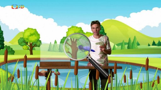 Zaostřeno na: Na křídlech vážky