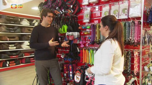 Koumákova reportáž: Smart technologie pro psy