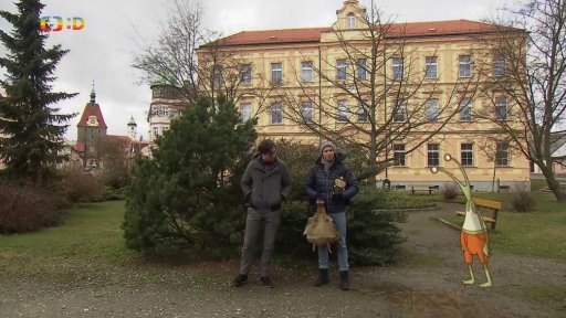 TýYó na výletě: Domažlicko - Jindřich Jindřich