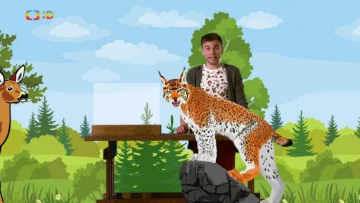 Zaostřeno na: Rys ostrovid a ti druzí