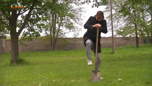 TýYó reportáž: Sázíme stromy