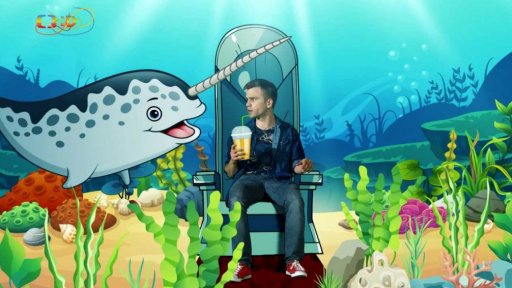 Zaostřeno na: Narval a jeho roh