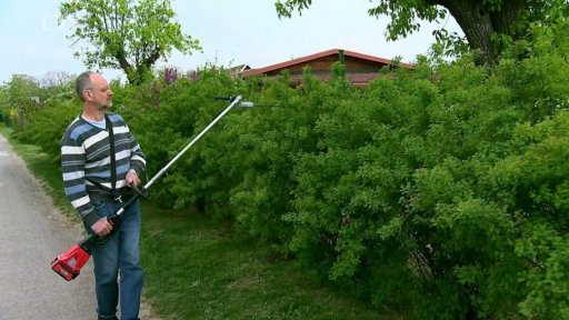 Střih živých plotů