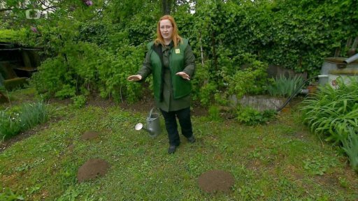 Ekologický boj se škůdci