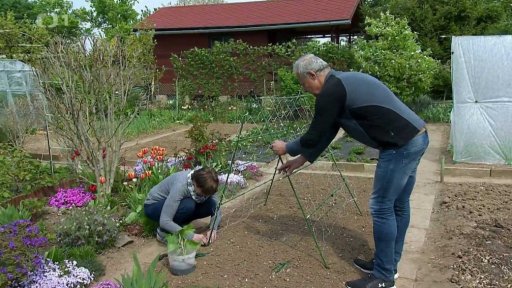 Pěstování rostlin do výšky