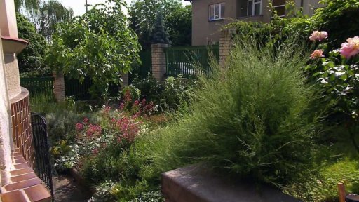 Permakulturní zahrádka