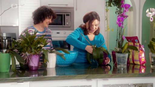 Přesazování orchidejí