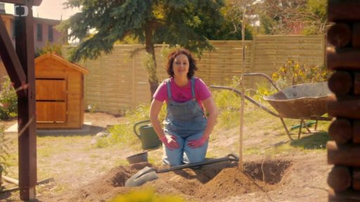 Moruše a motýlovníci