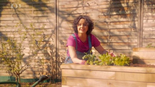 Sázení špenátu, brokolice a salátu