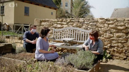 Levandule, třapatka, měsíček