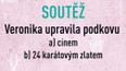 Soutěž