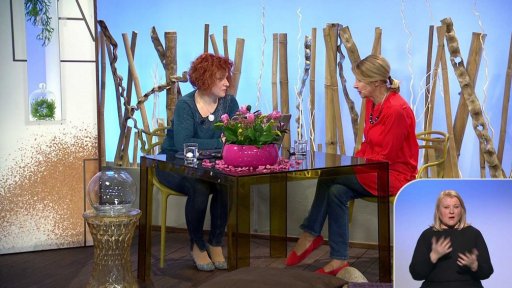 Hojení ran u seniorů - 2. část