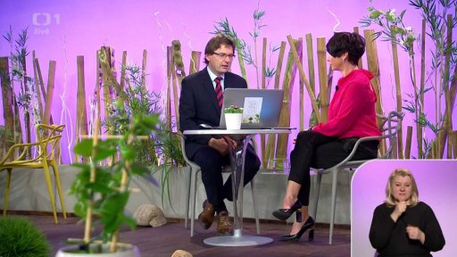 Pooperační péče o transplantované