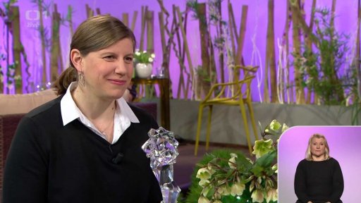 Český lev + anketa