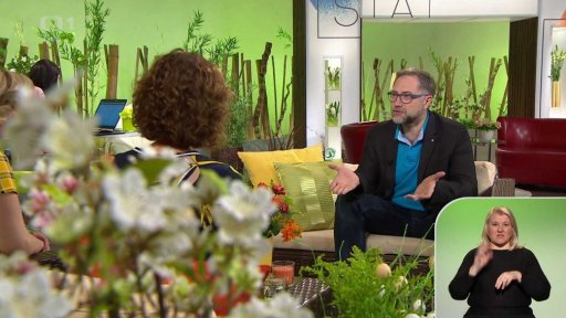 Cévní mozkové příhody - 1. část