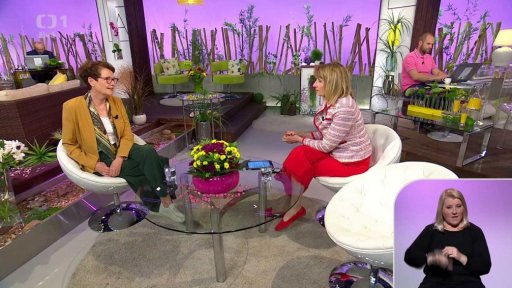 Průlomová léčba migrény