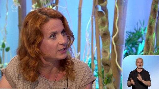 Rady před dovolenou, změny, služby, reklamace