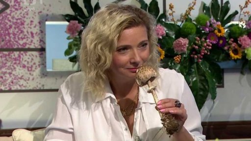 Houby: pozor na bedly