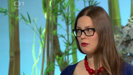 Týdenní seriál - trvalkový záhon