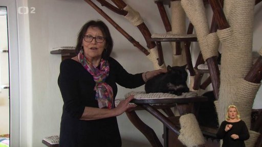 Nabídka koček z Vrbičan