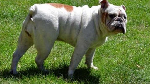 Francouzské potěšení, z. s.