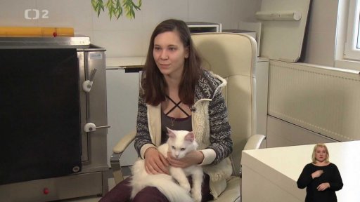 Jaké zdravotní problémy s sebou nese bílé zbarvení zvířat