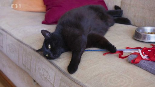 Hysterická Baruška: v čem je problém?