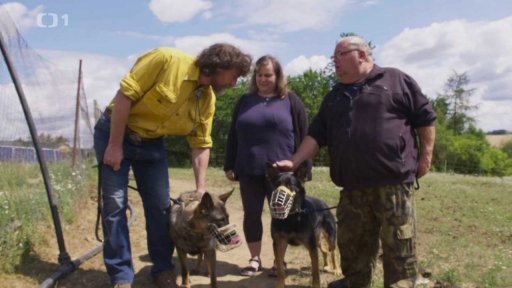 Úzkostný Ron: seznámení s koučem