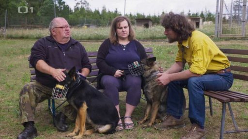 Úzkostný Ron: triky a rady