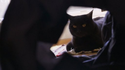 Hysterická Baruška: po měsíci