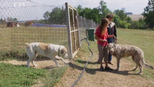 Ustrašený Kamil: po měsíci