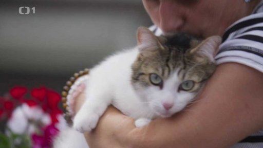 Vystresovaná Pepina: v čem je problém?