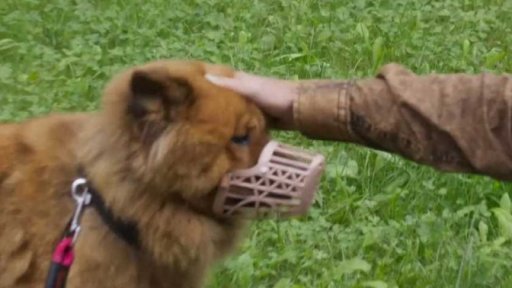 Tvrdohlavá Sheila: po měsíci