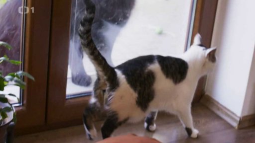 Značkující Sofie: triky a rady