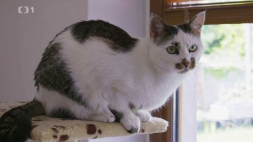 Značkující Sofie: po měsíci