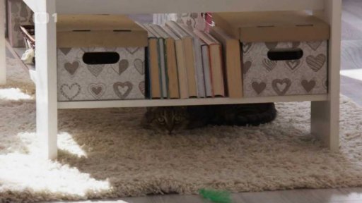 Dominantní Kája: v čem je problém?