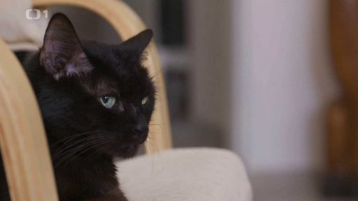 Dominantní Kája: po měsíci