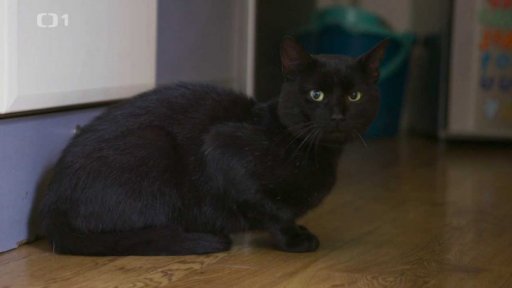 Zaujatý Ďupka: v čem je problém?