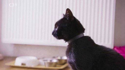 Zaujatý Ďupka: seznámení s koučem