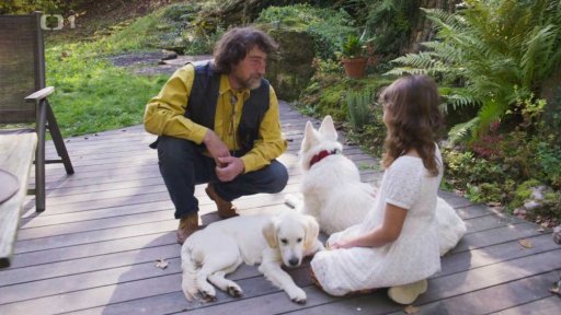 Štěněcí Gigi: Jeníček: triky a rady