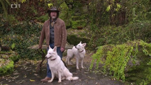 Štěněcí Gigi: po měsíci