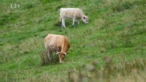 Ze Zálesí do polského Ladeku