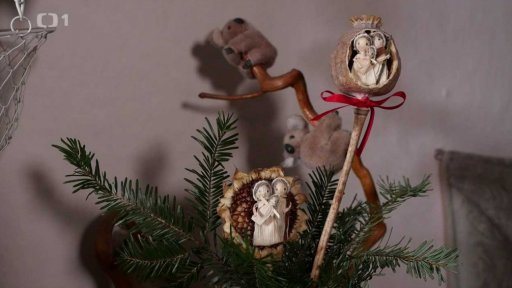 Šustí Jany Pulcové