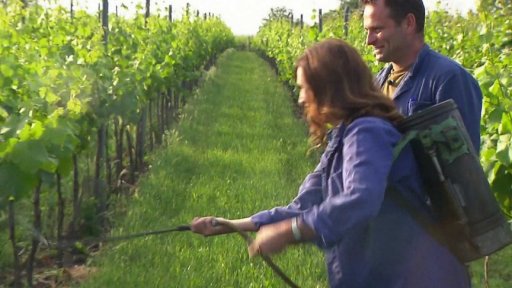 Jihomoravský kraj: vinařství Pavla Bindera v Rakvicích