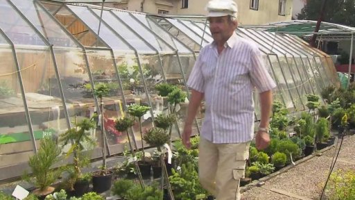 Kraj Vysočina: rodinné zahradnictví Vejtasových v Jaroměřicích nad Rokytnou