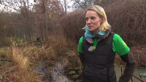 Zahradní vodní plochy