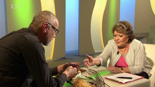 Roubování jabloní