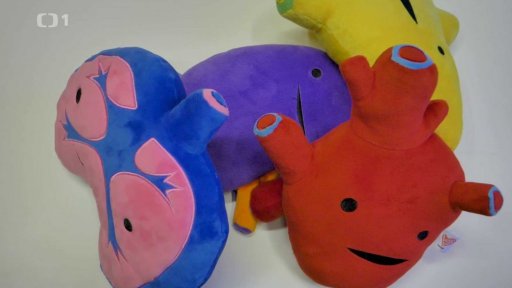 Projekt „Jsem tvůj nový kamarád“