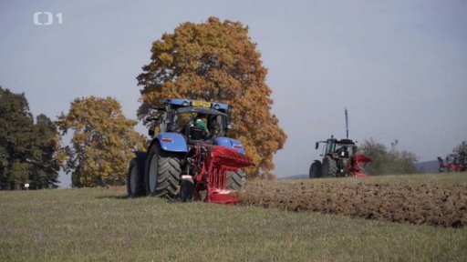 Mistrovství v orbě